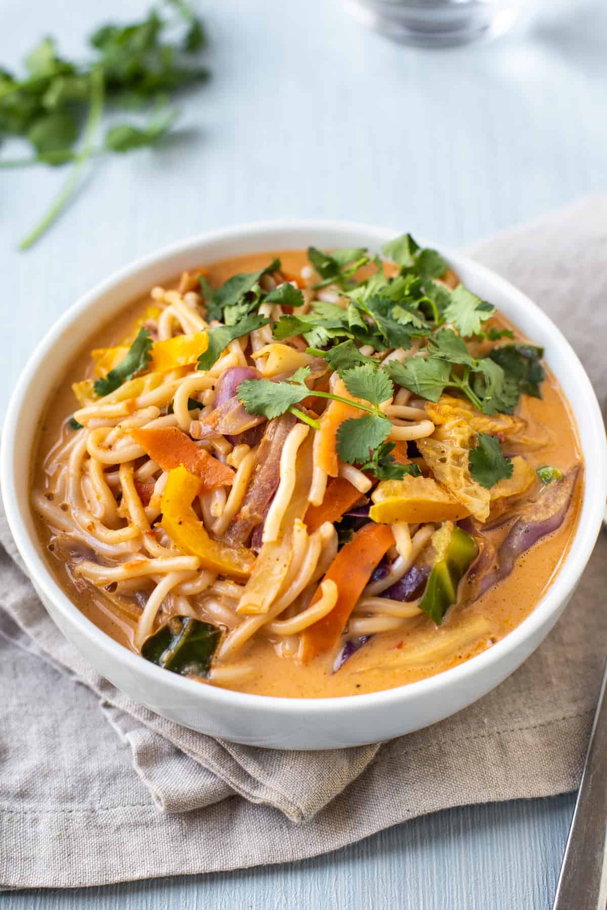 A bowlful of Thai noodle soup with fresh vegetables and coriander.
