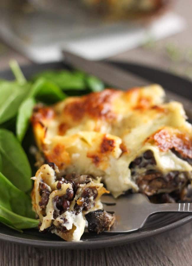 Puy lentil lasagne with creamy goat's cheese sauce - imagine a standard white sauce, with creamy goat's cheese melted through... slathered on top of rich puy lentils and mushrooms. This lasagne is dreamy!