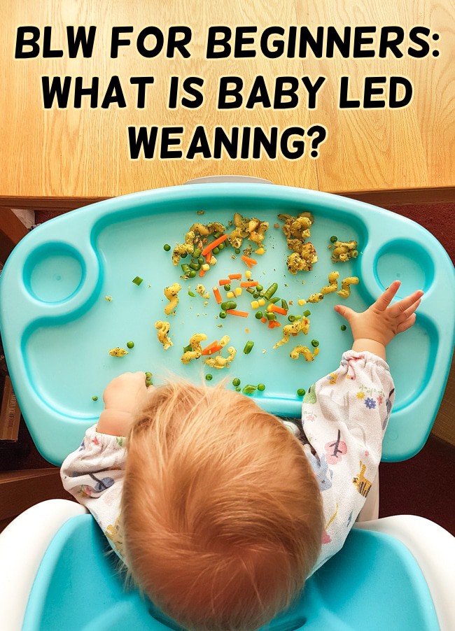 BLW for Beginners: What is Baby Led Weaning?
