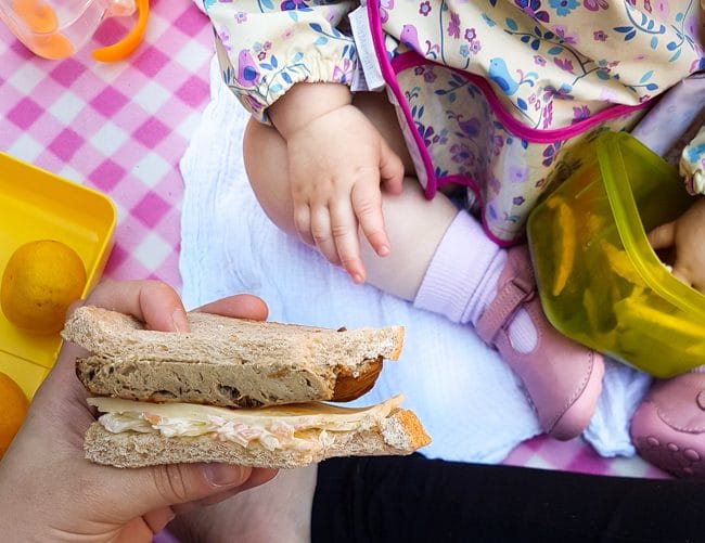 Baby eating a picnic