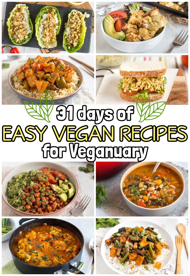 Collage showing lots of vegan recipes
