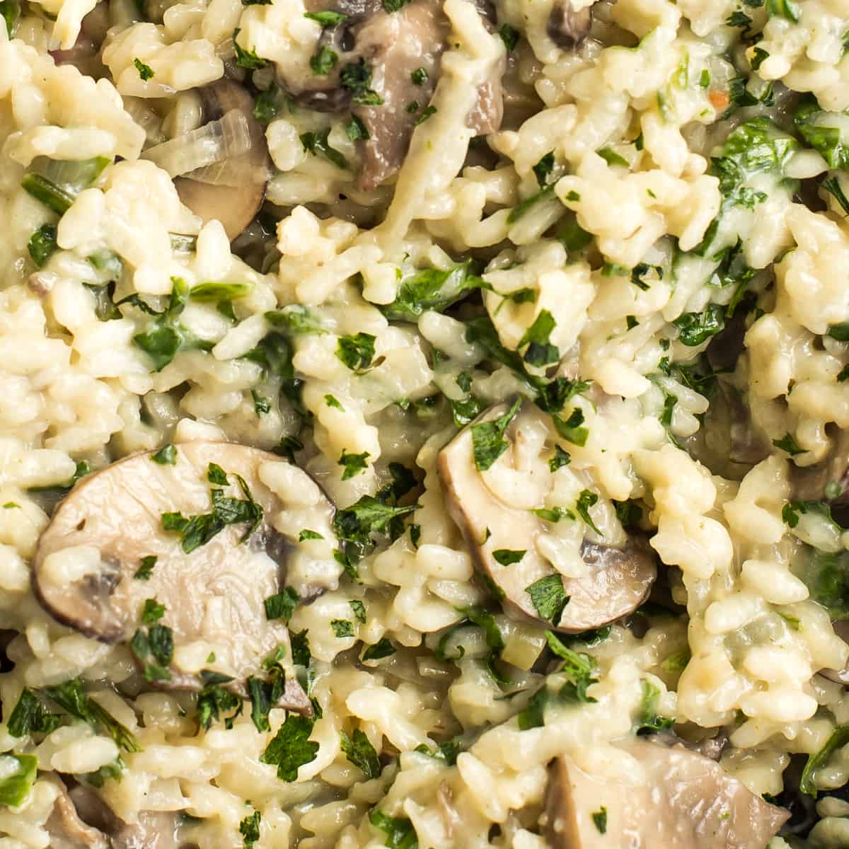 Extreme close-up of creamy mushroom risotto with parsley.