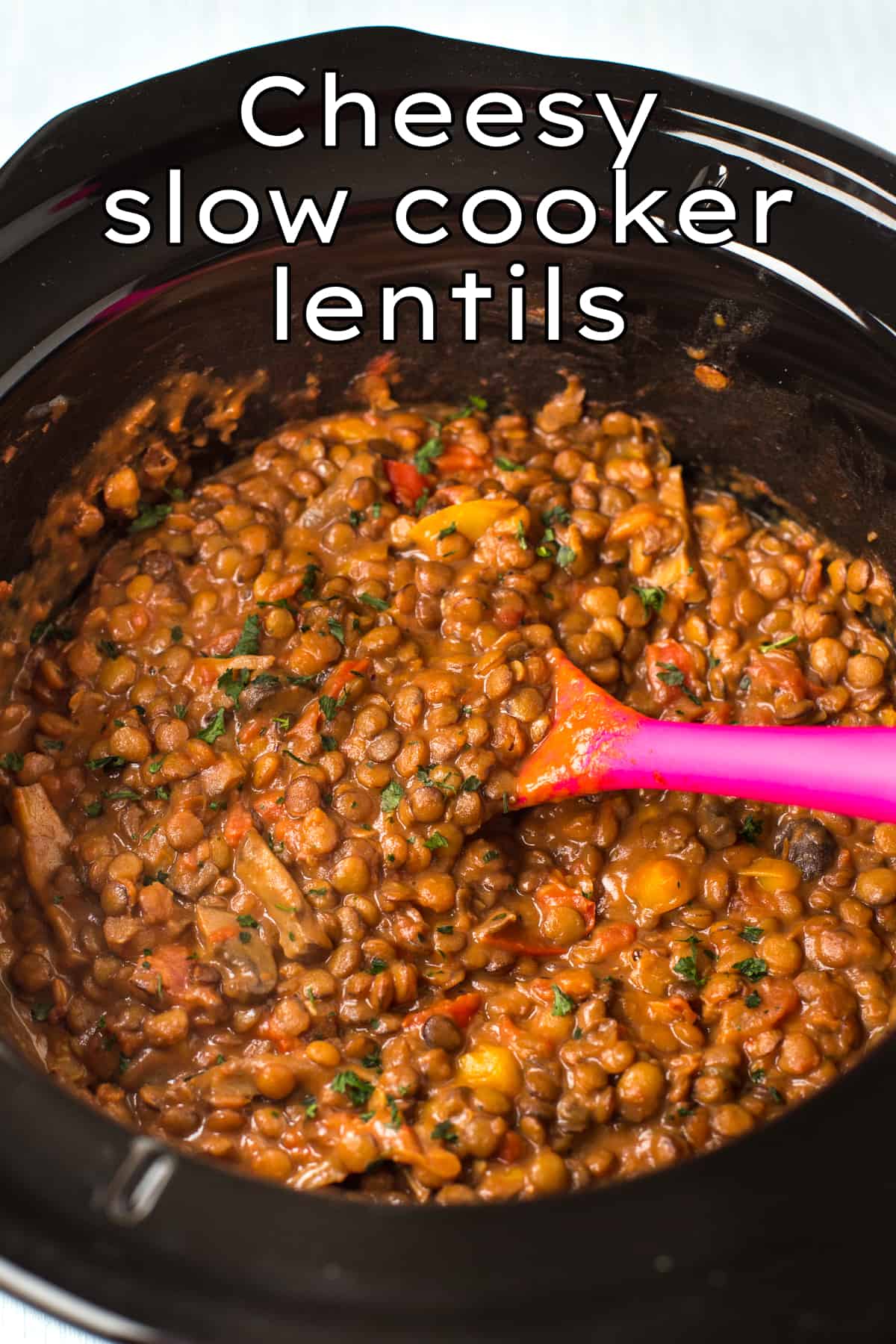 Cheesy lentils in a slow cooker.
