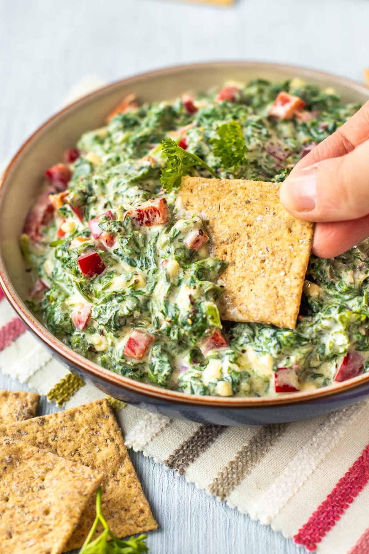 A cracker being dipped into cold and creamy spinach dip.