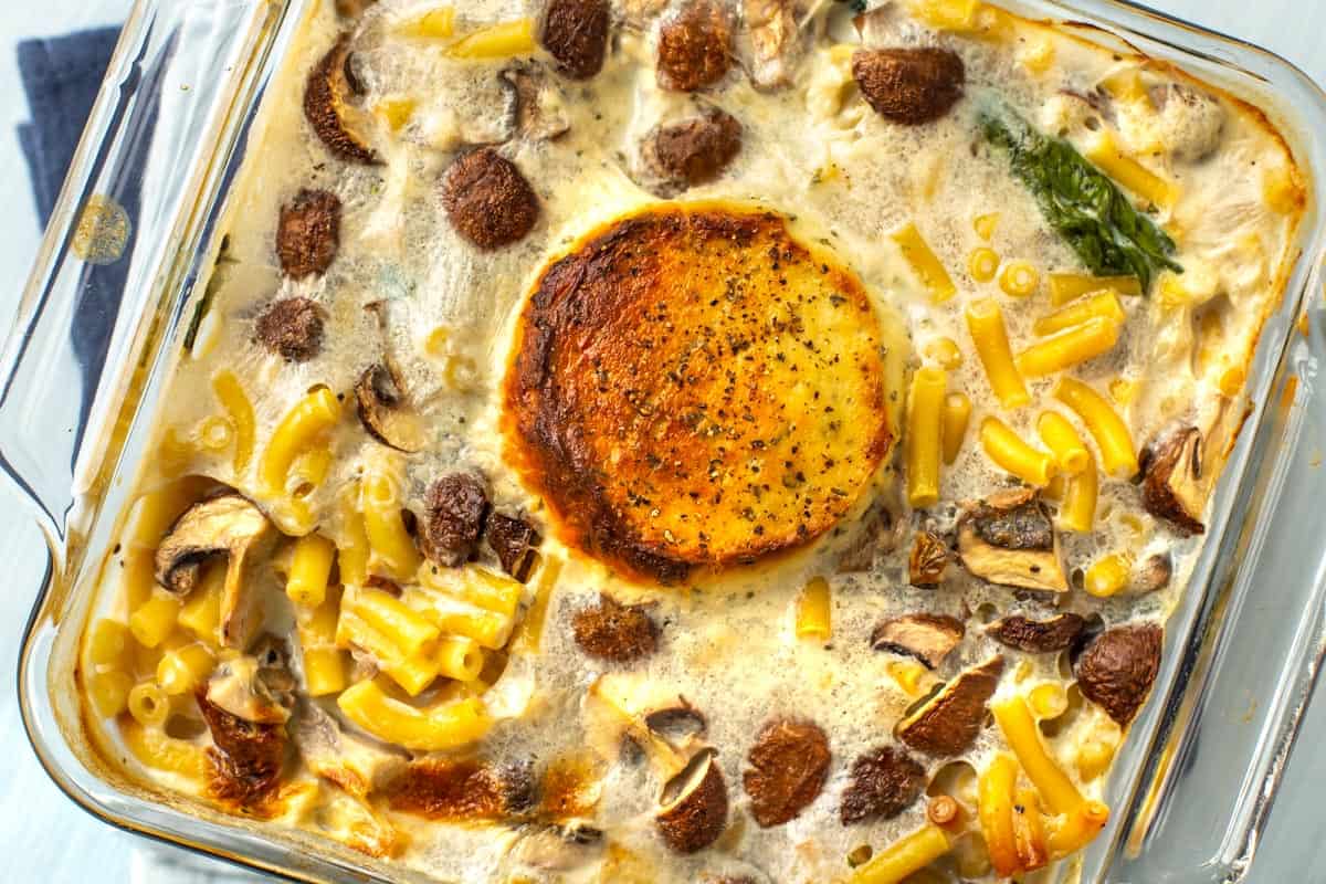 Creamy baked pasta with crispy Boursin cheese on top.