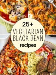 Collage of vegetarian black bean recipes with text overlay.