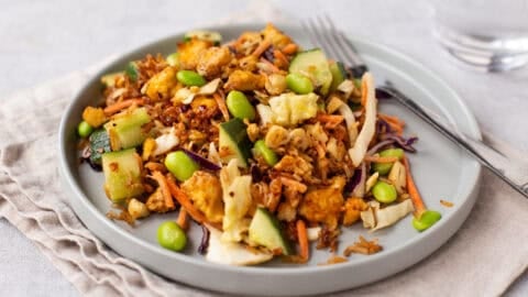 Vegetarian crispy rice and tofu salad on a plate.