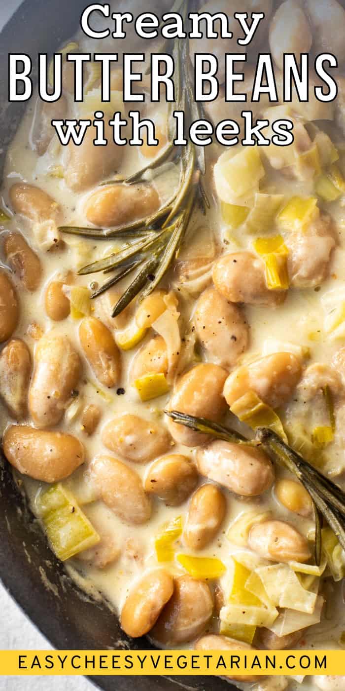 vegetarian-one-pot-meals-archives-easy-cheesy-vegetarian