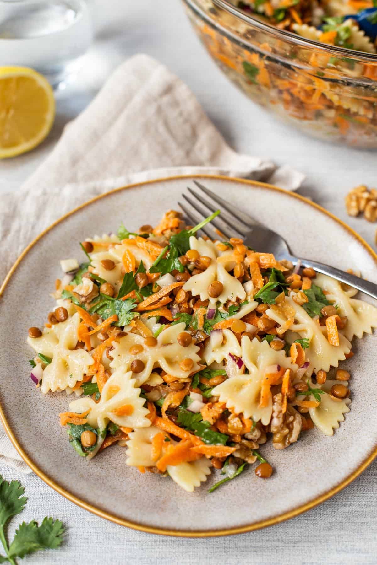 A plateful of vegan French lentil pasta salad with a fork.