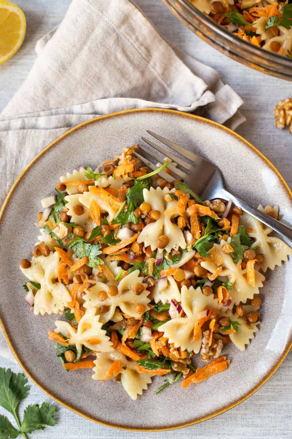 A portion of French lentil pasta salad on a plate with a fork.