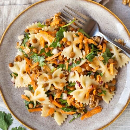 Overhead shot of a plate of French lentil pasta salad.