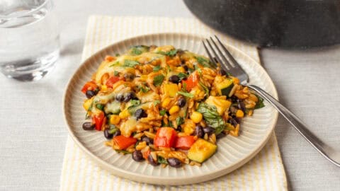 A portion of vegetarian enchilada orzo topped with cilantro.