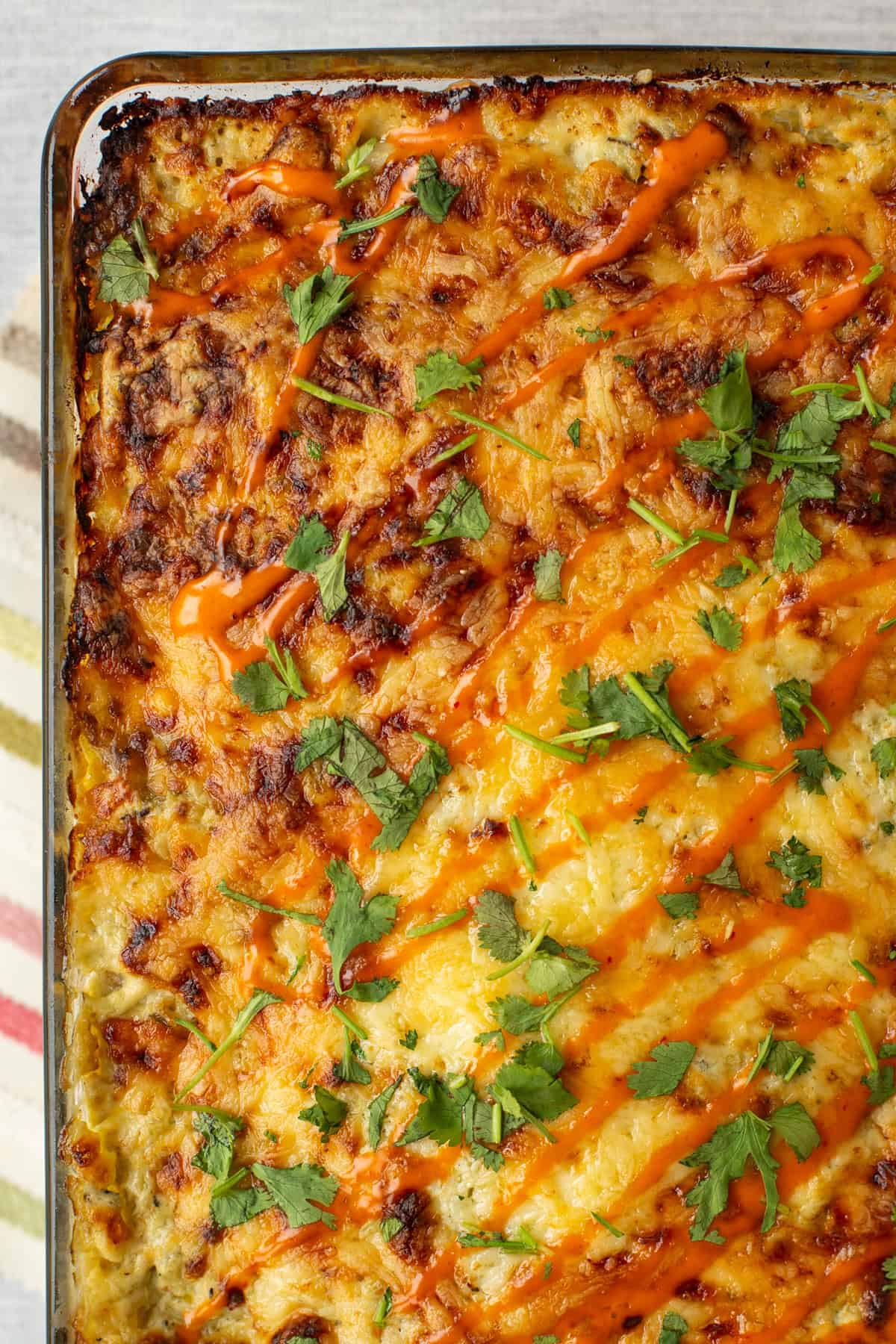 Overhead shot of a pan of cheesy potato enchiladas with cilantro sprinkled on top.