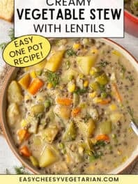 Bowl of creamy vegetable stew with text overlay.