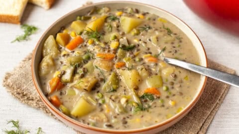 A portion of creamy vegetable stew with lentils in a bowl topped with dill.