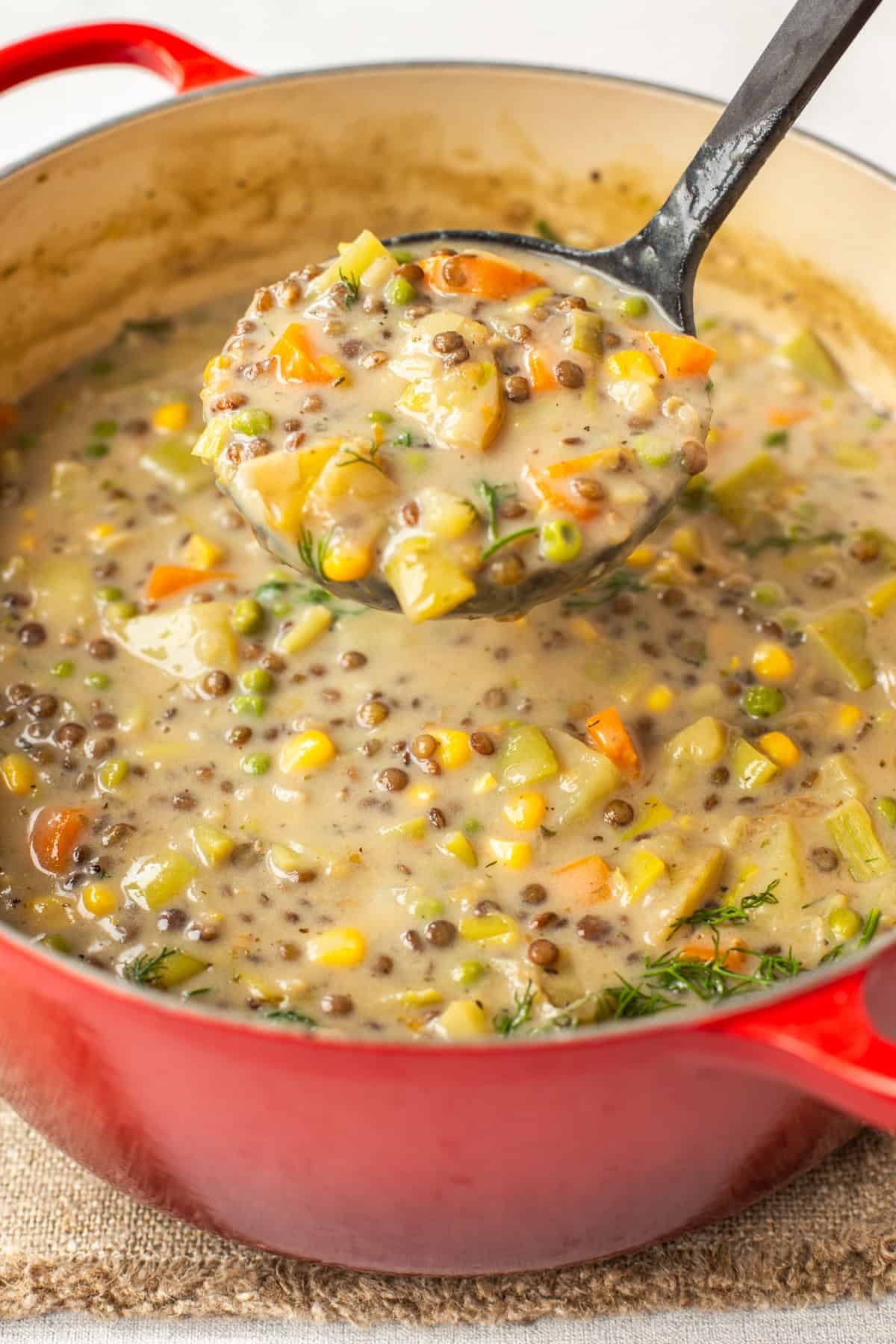 A ladle taking a scoop from a large pot of creamy vegetable stew.