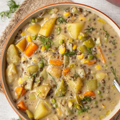 Overhead shot of a bowl of creamy vegetable stew with lentils.
