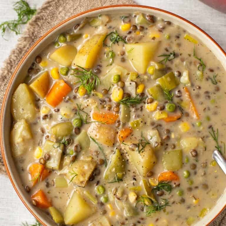 Overhead shot of a bowl of creamy vegetable stew with lentils.