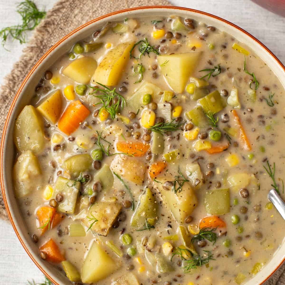 Overhead shot of a bowl of creamy vegetable stew with lentils.